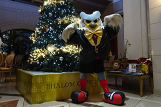 20171207_apg_consa-img11.jpg