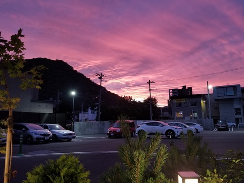 20180801_190928.jpg