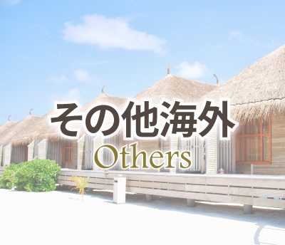 その他海外