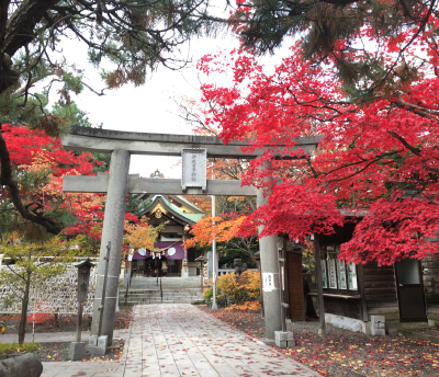 彌彦神社